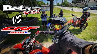 CRF300L | Chasing a Beta RR at the 2023 Midhurst Trail Ride