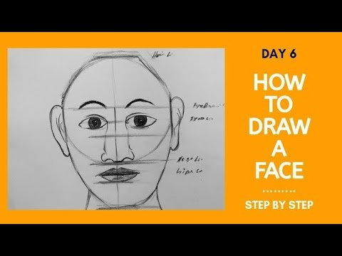How To Draw A Face Basic Proportion Step By Step For Beginners