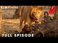 Win or Die (NEW EPISODE) | World's Deadliest | Nature Animal Documentary