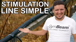 Transform Beekeeping: My Stimulation Line Explained 🐝