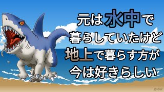 ドラクエモンスターゆっくり解説season2  第48回【グランドシャーク】