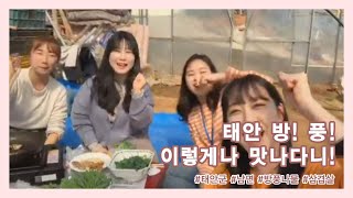 태안TV - 방! 풍! 이렇게나 맛있다니!(Live)