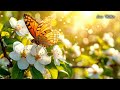 lion miller butterfly dance contemporary classical music