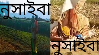 অবশেষে নুসাইবার মুখে হাসি ফুটলো,  আমাদের দেশে হাজারো ঘরে ঘরে নুসাইবা আছে