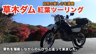 【ソロツーリング】絶景スポット発見！紅葉を求めて草木ダム紅葉ツーリング