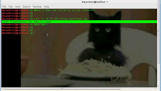 Shellshock Bash Bug Exposed