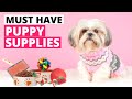 12 Must Have Supplies for a Shih Tzu Puppy