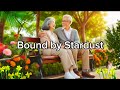 Bound by Stardust | Original Song with Lyrics | Cosmic and Timeless Love Ballad