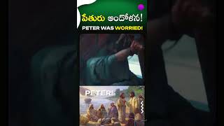 పేతురు ఆందోళన ! #Peter was worried ! #peter bible #jesus #Ps Grace Victoria #jesuschrist #bible