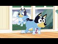 Bluey: Bandit Cleaning the Window With His Butt (HD)