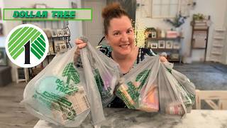 Dollar Tree Haul New Items