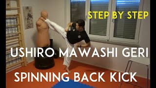 USHIRO MAWASHI GERI - spinning back kick - TEAM KI