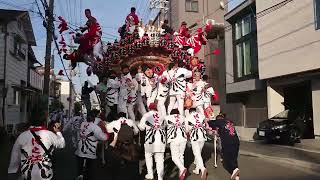 2022/5/4 神戸市東灘区だんじり祭 吉田區・田中區・住之江區・茶屋區・反高林區・呉田區・西區・空區 #地車 #kobe #festival