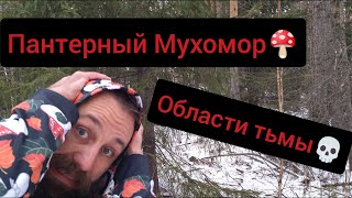 Пантерный Мухомор 🍄 Тело и сознание живут раздельно. Аватар может сбежать, пока ты вышел из матрицы.