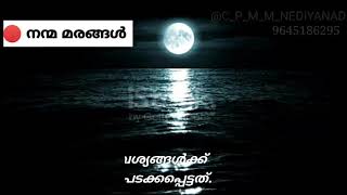 നന്മ മരങ്ങൾ || CP CREATIN || watsapp status video/islamic video