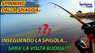 SPINNING DALLA SPIAGGIA - INSEGUENDO LA SPIGOLA...