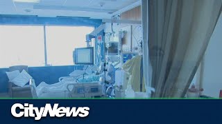 'Alberta Association of Nurses' launched to address provincial nurse-shortage