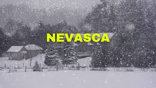 ❄️Nevasca para Dormir 🎵Som de Tempestade de Neve Durma e Relaxe com Sons da Natureza