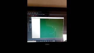 Draw Pakistan Flag 🇵🇰 in Python turtle 🐢#viral #shorts #python #pythonprogramming