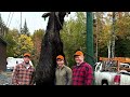 moose hunt sept 2024