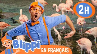 Blippi nourrit et joue avec les animaux au zoo | Blippi en français | Vidéos éducatives pour enfants