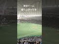 【tiktok】東京ドームで野球観戦してみた