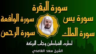 الشيخ سعد الغامدي  تلاوة عذبة سورة البقرة + سورة يس + الواقعة + الرحمن + الملك لزيادة الرزق و البركة