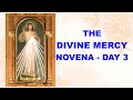 THE DIVINE MERCY NOVENA - DAY 3