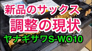 【新品サックスの調整の現状】ヤナギサワ S-WO10ソプラノサックス：参考動画