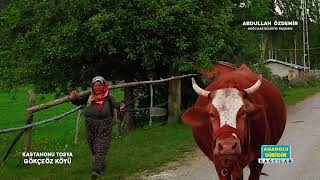 Kastamonu Tosya Gökçeöz Köyü