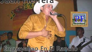 Juan Herrera - Enguayabao En El Rancho