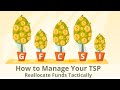 Manage Your TSP  - Reallocate Funds Tactically | Financial Advisor | Christy Capital Management