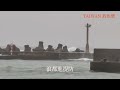 taiwan 釣魚樂 大風大浪那個魚不知道還在不在 和美魚港四破魚 青鱗仔 巴浪 臺灣釣魚 臺灣旅遊 臺灣美食