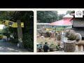 【非公式】町田リス園1分紹介（リスジャンプあり）