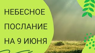 Небесное послание на 9 июня. Дом.