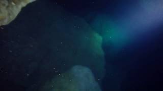 Devils Den Prehistoric Spring- Virtual Scuba Tour