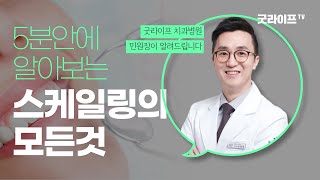 스케일링 왜 하는걸까? 스케일링의 모든것을 알려드립니다!