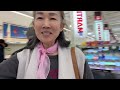 life with li shopping at walmart 美国生活英文口语中英文双语 逛美国沃尔玛今天物价$88买到什么东西