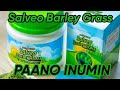 PAANO INUMIN ANG SALVEO BARLEY GRASS