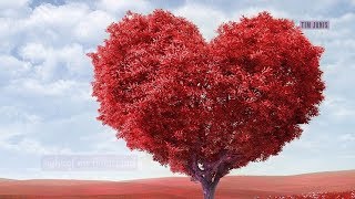 Relaxing Peaceful Romantic Instrumental Music "Valentine Heart" by Tim Janis