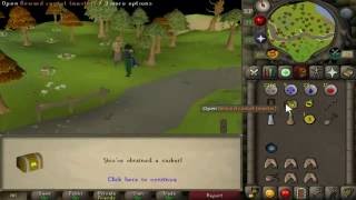10 Master Clue Scroll Rewards #2 (5 UNIQUES)