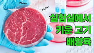 [KOFST 크리에이터 : 오박사 Lab] 실험실에서 키운 고기, 배양육