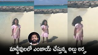 See How Allu Arjun Daughter Allu Arha Enjoying in Maldives | Allu Arjun | Life Andhra Tv