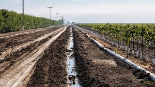 The innovations and ideas changing agriculture, part one