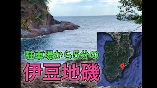 【伊豆】難しいと思ってた磯は簡単に入れて最高のロケーションだった【縦動画】