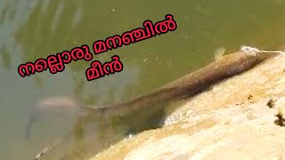 mananjil fish ഒന്ന് പിടിക്കാം 5 ചുണ്ട  ഇട്ടപ്പോൾ രണ്ടു മീൻ അടിച്ചു പൊളി മീൻ പിടിത്തം