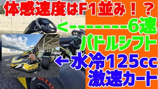 素人がF1の様な6速ミッションパドルの激速ゴーカートに乗ってみた！