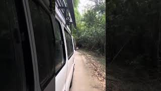 Off road to Baan Pa Mak hilltribe