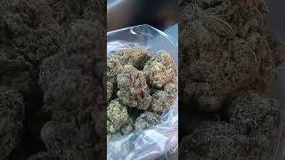 Gary Payton Cannabis strain review/W Dr. Greenbody