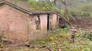 Family Divided ~Couple Finds a Dilapidated House, Renovation and Transformation It to Beautiful Home